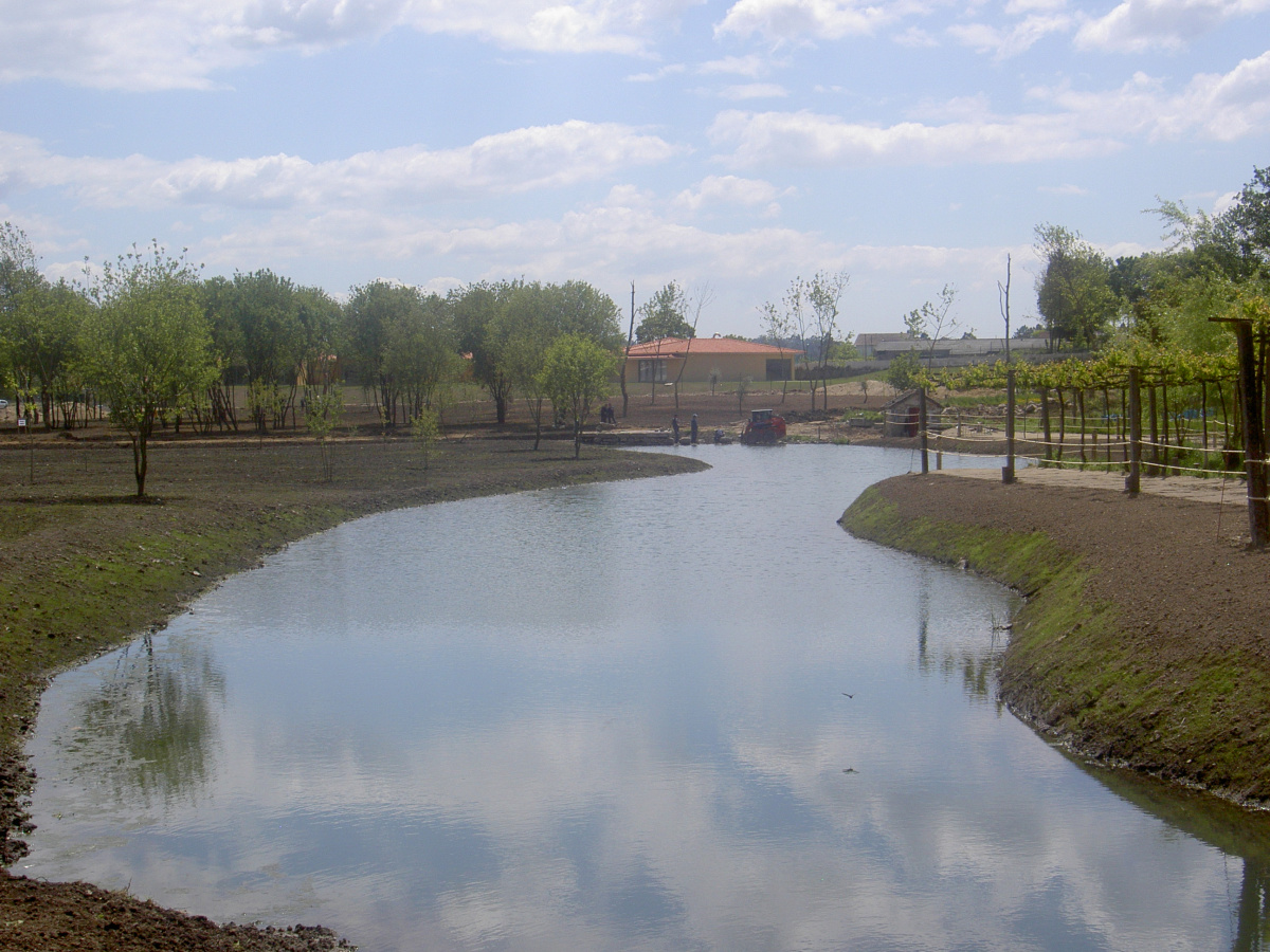 Parque_Lazer_Freamunde_(2)